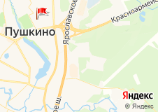 ДС "Пушкино"